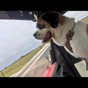 Meet your Posher, Yvette